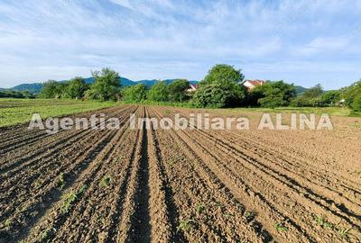 Teren de 4094 mp, în Șoimuș - 7