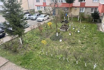 Apartament cu 2 camere decomandat în Precista - 5
