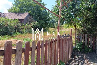 Casă individuală cu 4 camere cu Teren 2000 Mp în Alțina - 6