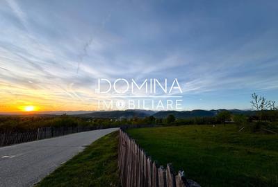 Teren Construcții intravilan de 3262 mp, în Baia de Fier - 4