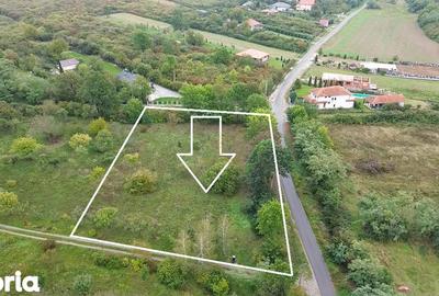 Teren de 2812 mp, în Viile Satu Mare - 3