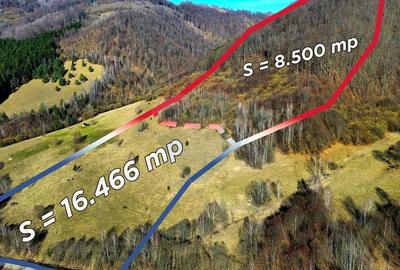 Teren agricol extravilan de 16466 mp, în Mara - 4
