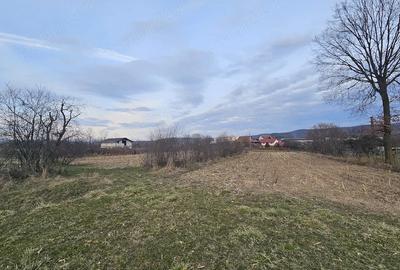 Teren de 2645 mp, în Central - 6