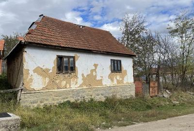Teren de 2048 mp, în Albești - 1