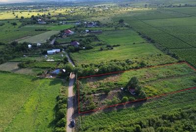 Teren Construcții intravilan de 5555 mp, în Urlați