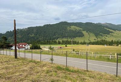 Casă cu 4 camere cu Teren 7000 Mp în Central - 8