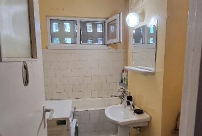 Apartament 2 camere Tatarasi Pet Friendly - 9
