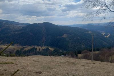 Spațiu comercial, în Horea - 2