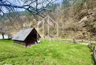 Teren de 12167 mp, în Câineni - 9