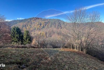 Spațiu comercial, în Schei - 14