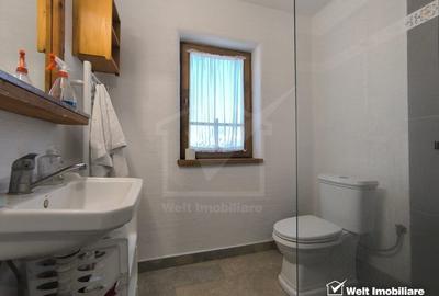 Casa rustica, exclusivista, 5 camere, 170 mp utili, 550 mp teren, Salicea - 27