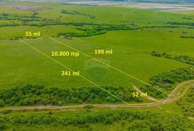 Teren de 10800 mp, în Râșnov - 4