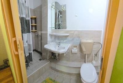 3 camere 1/4, centrala, 3 bai ,zona Salaj-Str.Sg.Maj. Florea Bejan. - 13