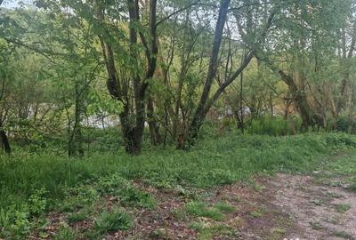 Teren de 26403 mp, în Negreni - 8