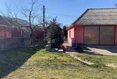 Casă cu 3 camere cu Teren 1100 Mp în Sarmizegetusa - 9