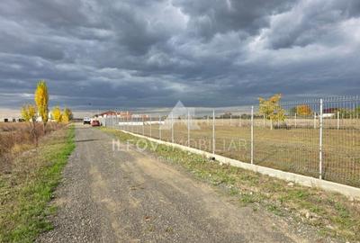 Teren intravilan Dimieni, 500mp, 29ml deschidere, pretabil c - 1