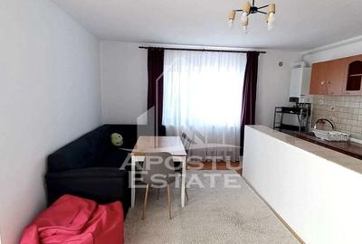 Apartament cu 2 camere semidecomandat, mobilat în Șagului - 3