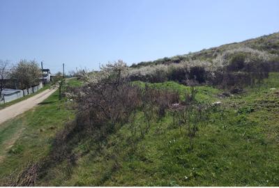 Teren Construcții extravilan de 20000 mp, în Șorogari - 5