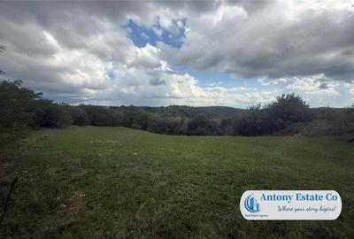 Teren de 5300 mp, în Uileacu de Criș - 3