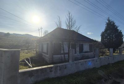 Casă cu 3 camere în Ciucea