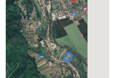 Teren de 3200 mp, în Bănești - 8