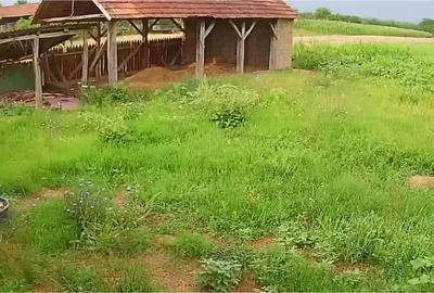 Vand casa la ?ara Salbadagiu de Barcau - 5