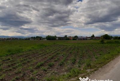 Teren de 5000 mp, în Lunca Calnicului - 2