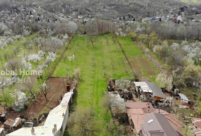 Teren de 4898 mp, în Cornu - 6