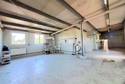 Hala de depozitare sau productie cu birouri 502mp | Mehala - 2