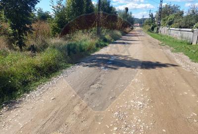 Teren intravilan in Sanduleni jud. Bacau - 4
