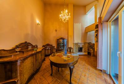 Vilă impunătoare cu arhitectură elvetiană pe 3 nivele - proprietar - 6