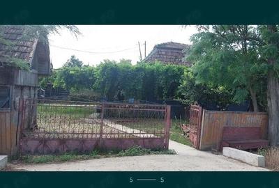 Casă cu Teren 12500 Mp în Valea - 2