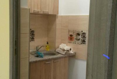 Inchiriere garsoniera buziasului - 3