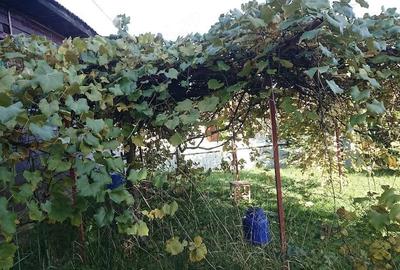 Casă cu 2 camere cu Teren 1500 Mp în Exterior Vest