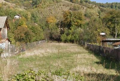 Teren de vanzare Drajna de Sus, zona buna pentru case vacanta - 2