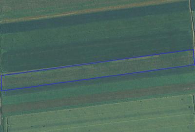 Teren agricol extravilan de 53.810001373291 mp, în Exterior Est - 3