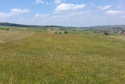 Vand teren intre Popesti si Corusu(jud. Cluj),in apropierea padurii - 1