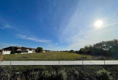 Teren Construcții extravilan de 10000 mp, în Săcălaz - 1