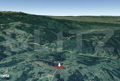 Spațiu comercial, în Paltin - 3