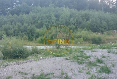 Teren intravilan 15.000 mp Busteni - 2