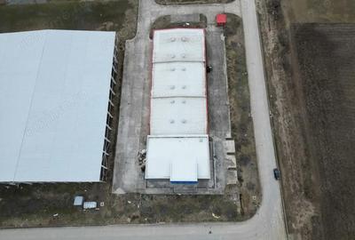 Spațiu comercial, de 3,049 mp, în Sânandrei - 4