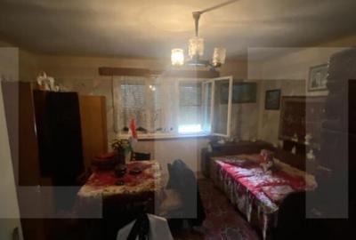 Casa tradi?ionala cu teren generos Belin - 3