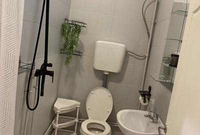 Garsonieră decomandată în Albești - 5
