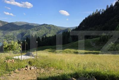 ???? Teren intravilan, de vanzare, 5 hectare, zona Colibita - 2