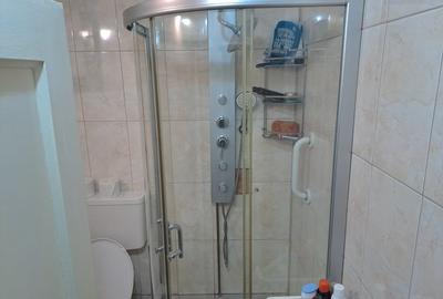 Casă individuală cu 6 camere cu Canalizare în Industriilor - 9