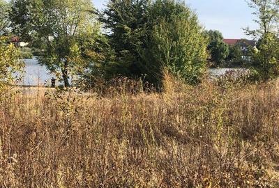 Teren Corbeanca Str. Laguna Albastra iesire la apa - 1