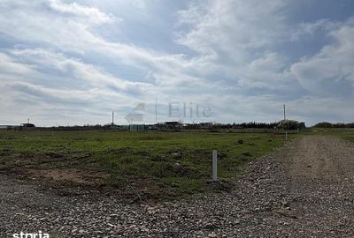 Teren de 700 mp, în Paleu - 6
