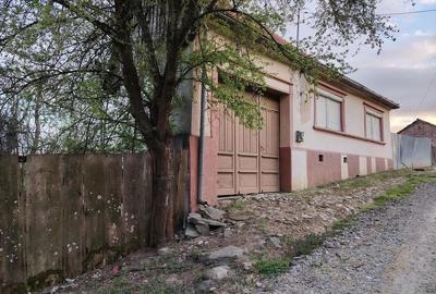 Casă cu 2 camere cu Teren 550 Mp în Bozovici - 7