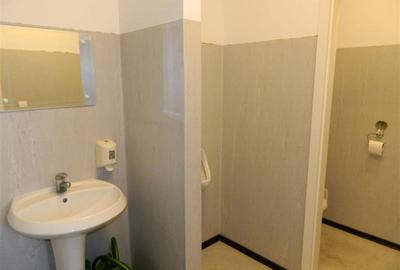 Spațiu comercial, de 512 mp, în Lipovei - 11