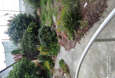 Casă cu Teren 282 Mp în Decebal - 5